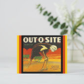 Cartes postales vintages Out-o-site Ostrich citrus (Debout devant)