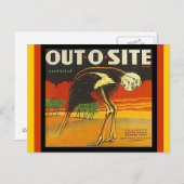 Cartes postales vintages Out-o-site Ostrich citrus (Devant / Derrière)