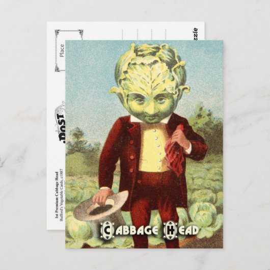 Cartes postales vintages pour légumes : Chou (Devant / Derrière)