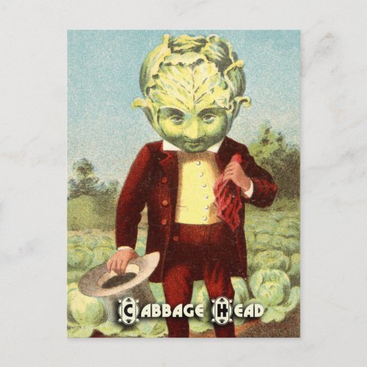 Cartes postales vintages pour légumes : Chou (Devant)
