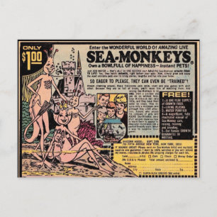 Cartes postales VINTAGES SEA-MONKEY