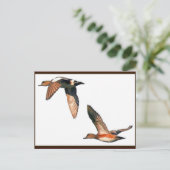 Cartes postales volantes (Debout devant)