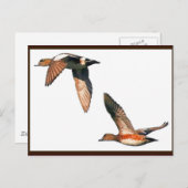 Cartes postales volantes (Devant / Derrière)