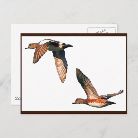 Cartes postales volantes (Devant / Derrière)