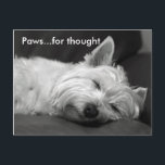 Cartes postales Westie mignonnes<br><div class="desc">Ce sont de belles cartes postales de chien Terrier pour Westie (West Highland White). L'image montre un beau chien Westie endormi avec la mention 'Paws... for think' en haut à gauche. Super à envoyer pour n'importe quelle occasion.</div>