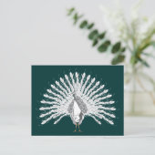 Cartes postales White Peacock (Debout devant)