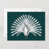 Cartes postales White Peacock (Devant / Derrière)