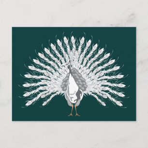 Cartes postales White Peacock