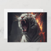 Cartes Postales White Tiger (Devant / Derrière)