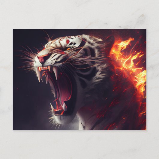 Cartes Postales White Tiger (Devant)