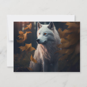 Cartes Postales  White Wolf