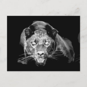Cartes postales Wild Black Jaguar Cat Eyes
