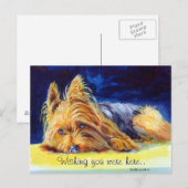 Cartes postales Yorkshire Terrier (Devant / Derrière)