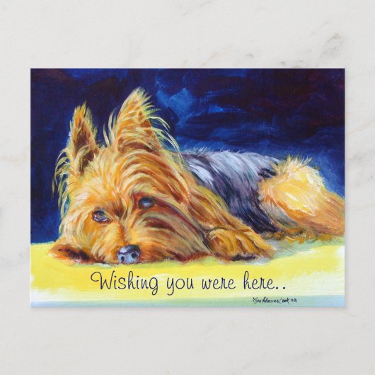 Cartes postales Yorkshire Terrier (Devant)