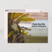 Cartes postfranchissement - Florida State Bird (Devant / Derrière)