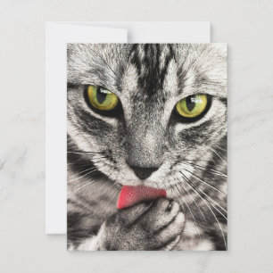 CARTES POUR FÊTES ANNUELLES 