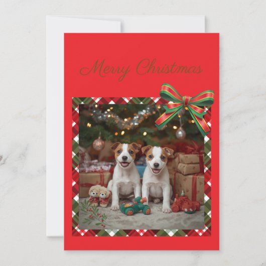 CARTES POUR FÊTES ANNUELLES かわいいジャックラッセルテリアの子犬たちとクリスマス♡ (Devant)