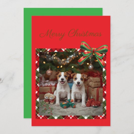 CARTES POUR FÊTES ANNUELLES かわいいジャックラッセルテリアの子犬たちとクリスマス♡ (Devant / Derrière)