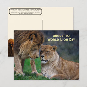 Cartes Pour Fêtes Annuelles 10 août, Journée mondiale des lions