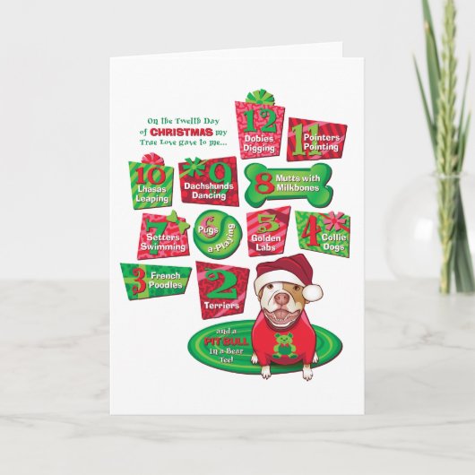 Cartes Pour Fêtes Annuelles 12 Chiens de Noël (Devant)