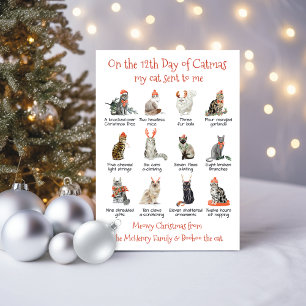 Cartes Pour Fêtes Annuelles 12 jours de Catmas Noël Chat