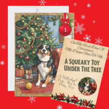 12 Jours de Noël Canin Jour 1