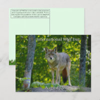 13 août - Journée internationale du loup