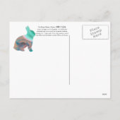 Cartes Pour Fêtes Annuelles 2011 Année du lapin (Dos)