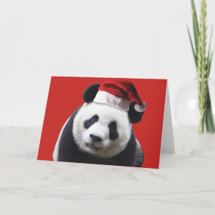 Cartes Pour Fêtes Annuelles A Cute Panda Bear wearing a Santa Claus Hat