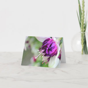 Cartes Pour Fêtes Annuelles À peine fuchsia pourpre II