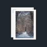 Cartes Pour Fêtes Annuelles A Winters Day in Kluisbos Belgium<br><div class="desc">A snow covered Kluisbos Forest in the Flemish Ardennes, captures the quiet beauty of the winter season in Kluisbergen, Belgium. The light dusting of snow adds a delicate touch to the landscape, with trees framing the snow covered path in this picturesque winter landscape. Great souvenir of your trip to the...</div>