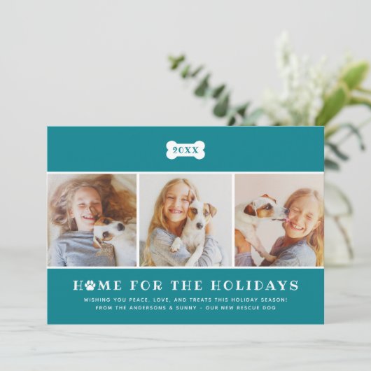 Cartes Pour Fêtes Annuelles Accueil pour les vacances Turquoise Plaid Chien ph (Debout devant)