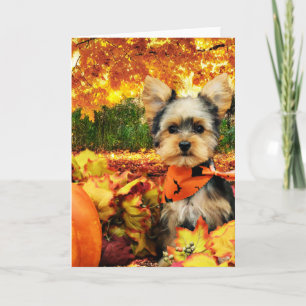 Cartes Pour Fêtes Annuelles Action de grâce d'automne - Max - Yorkie