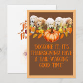 Cartes Pour Fêtes Annuelles Action de grâces (Devant / Derrière)