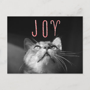 Cartes Pour Fêtes Annuelles adorable chat de Noël