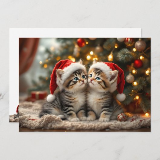 Cartes Pour Fêtes Annuelles Adorable Christmas kitten with Santa hats (Devant / Derrière)