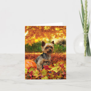 Cartes Pour Fêtes Annuelles Affaire Thanksgiving - Tucker - Yorkie