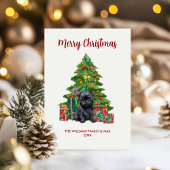 Cartes Pour Fêtes Annuelles Affenpinscher Chien famille Noël