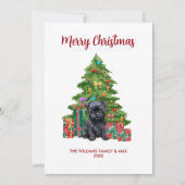 Cartes Pour Fêtes Annuelles Affenpinscher Chien famille Noël (Devant)