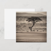 Cartes Pour Fêtes Annuelles Afrique (Devant / Derrière)