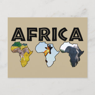 Cartes Pour Fêtes Annuelles Afrique Faune Continent Trio
