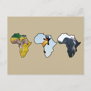 Cartes Pour Fêtes Annuelles Afrique Faune Continent Trio Faune Photos