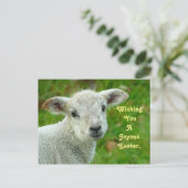 Cartes Pour Fêtes Annuelles Agneau doux (Debout devant)