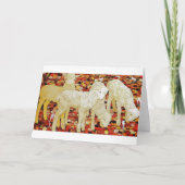 Cartes Pour Fêtes Annuelles Agneaux (Devant)