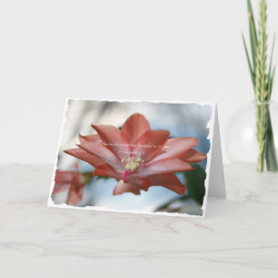 Cartes Pour Fêtes Annuelles Agnes the Christmas Cactus Ecclesiastes 3:11