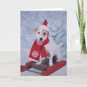 Cartes Pour Fêtes Annuelles Aide de Jack Russell Père Noël