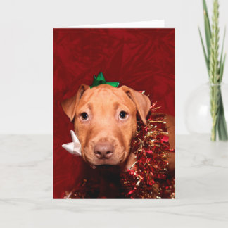 Cartes Pour Fêtes Annuelles Aide de Noël de chiot