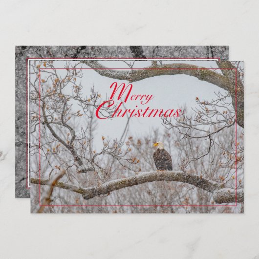 Cartes Pour Fêtes Annuelles Aigle Dans La Tempête De Neige (Devant / Derrière)