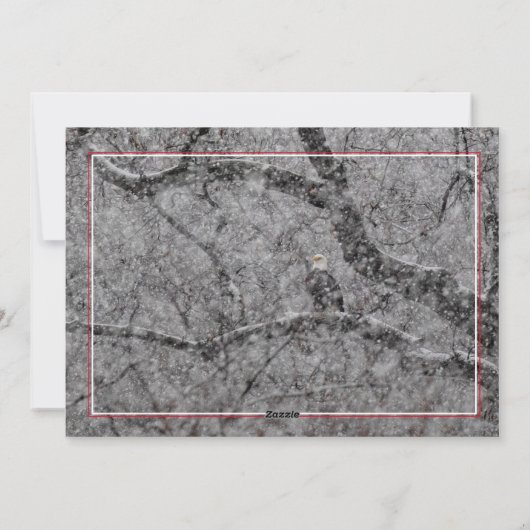 Cartes Pour Fêtes Annuelles Aigle Dans La Tempête De Neige (Dos)