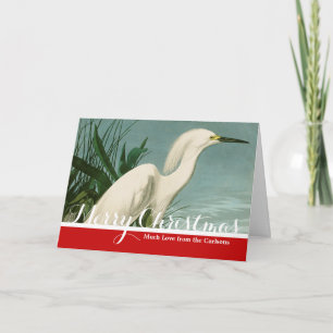 Cartes Pour Fêtes Annuelles Aigrette neigeuse d'Audubon oiseau Héron blanc orn